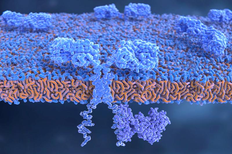 CAR-T Cell (Source: Juan Gärtner / Shutterstock)