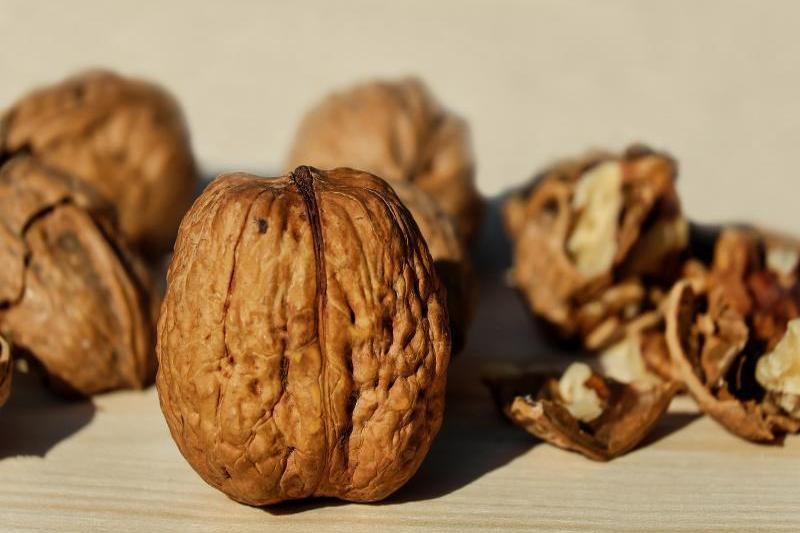 Walnuts (Source: Coulour /Pixabay)